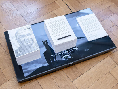Tyler Eash and Laura Ní Fhlaibhín, Breaking / briseadh / wa’aidom, exhibition view. Courtesy of Britta Rettberg Galerie