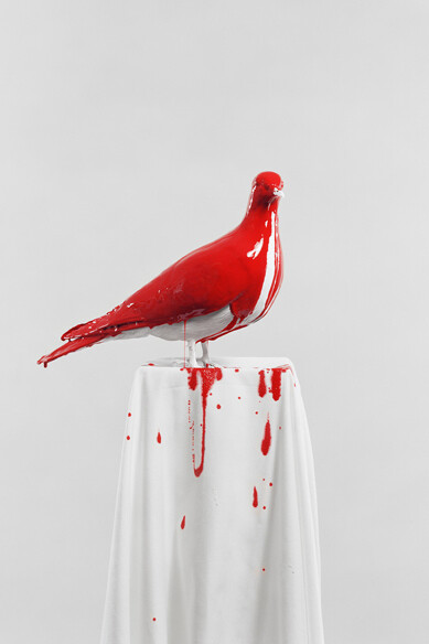 Julia Krahn, Die Taube, 2011 © Julia Krahn 