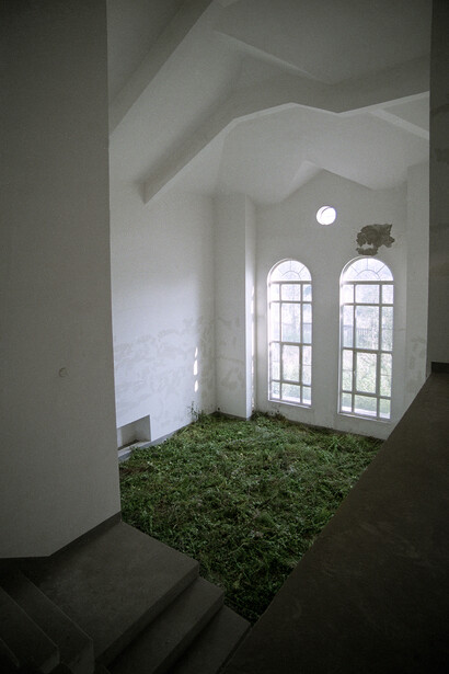 Grass summer, ph Andi Schmied