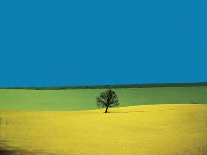 Franco Fontana, Puglia 1987