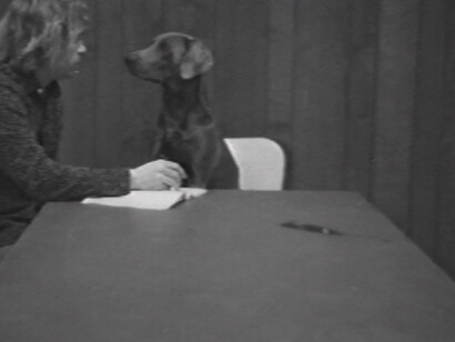 Creatures. Courtesy of Contemporary Arts Center