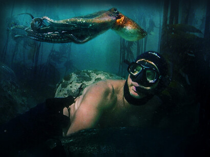 "My octopus teacher" (Il mio amico in fondo al mare). Il film documenta l'amicizia che nel corso di un anno il film maker Craig Foster costruisce con un polpo comune selvatico in una foresta di alghe in Sudafrica
