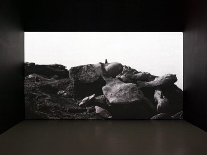 Mark Armijo McKnight, Cut the world, exhibition view. Courtesy of Klaus von Nichtssagend Gallery