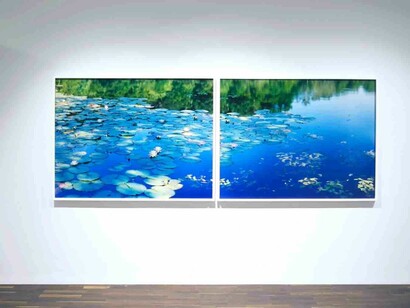 Risaku Suzuki. Courtesy of Christophe Guye Galerie
