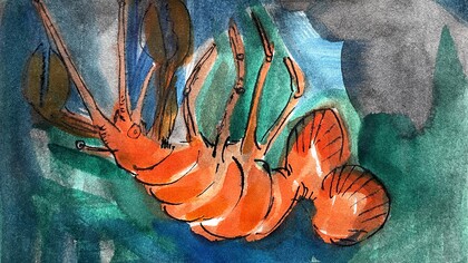 Una specie di aragosta?