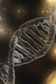 La historia de la genética empieza con el trabajo del monje agustino Gregor Mendel