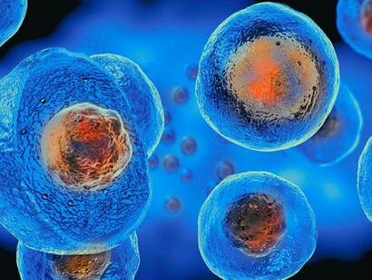 Mesenchymal stem cells are a promising alternative with their ability to self-renew and differentiate down multiple lineages