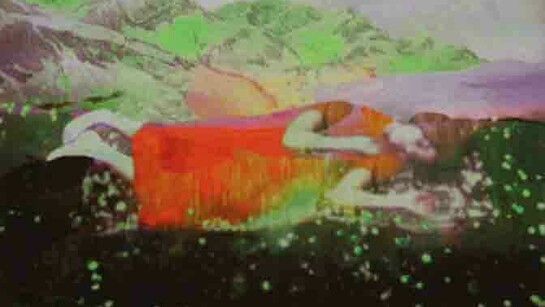 Annelies Štrba. Courtesy of Fabian & Claude Walter Galerie