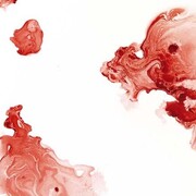 Federica Rossi, dalla serie The living cell, 2017, inchiostro su tela, cm. 100x100.
