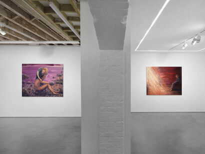 Timothy Lai, No swans, exhibition view. Courtesy of Josh Lilley Gallery 
