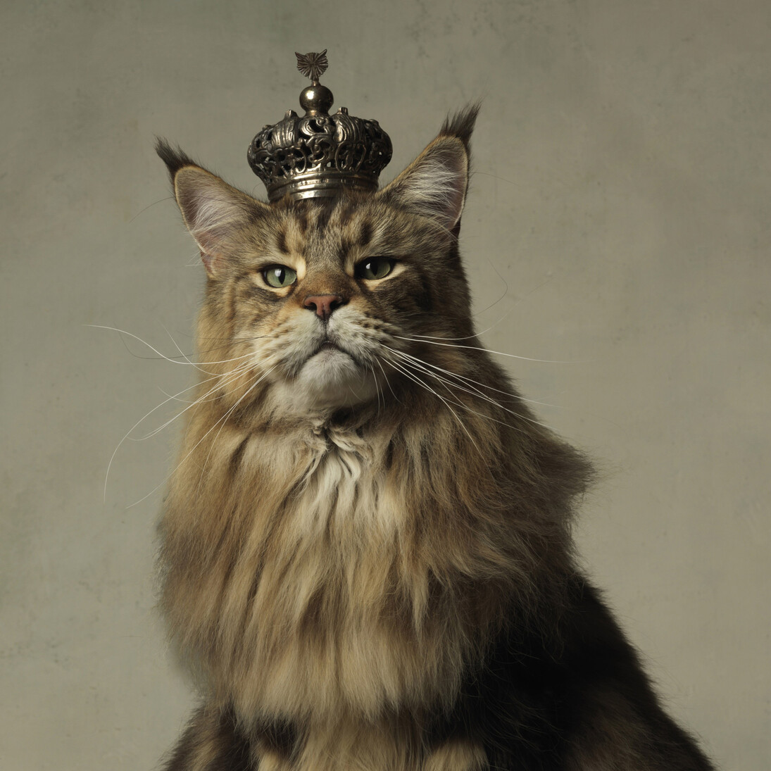 Marie Cécile Thijs, His Majesty 2011