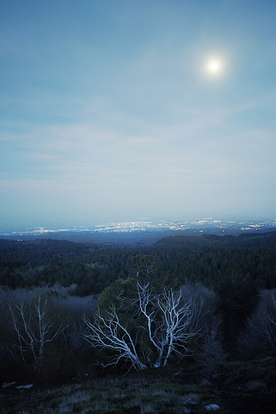 Rachel Louise Brown, View To Sea