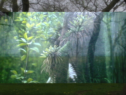 Basma Alsharif, We began by measuring distance, 19 m, single channel SD video. 2009