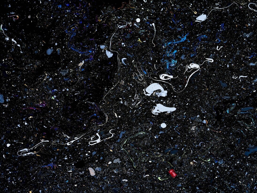 Steven Hirsch, Benthesicyme, 2014. ©Steven Hirsch