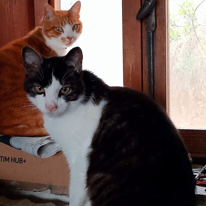 La vera forza sta nel saper accettare l'incertezza, vivendo ogni momento con fiducia, anche quando il percorso sembra confuso e pieno di curve