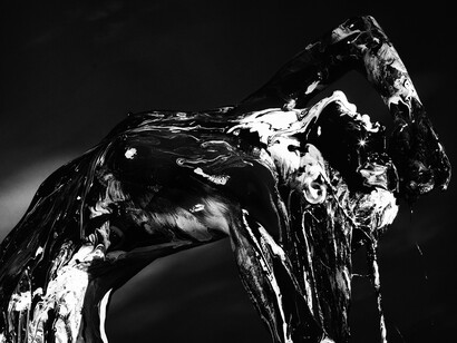 Daniel Sachon, An Air of Prontezza