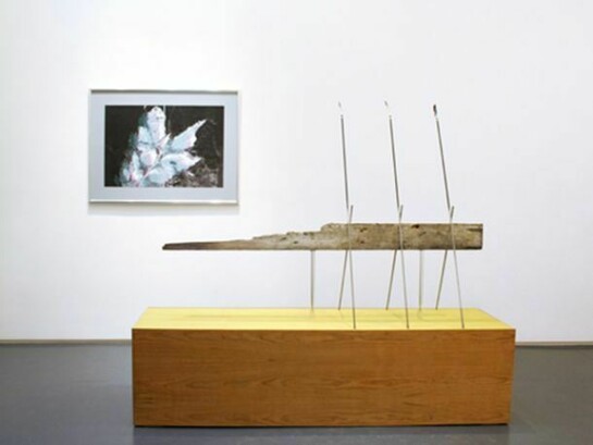 Ian Pedigo, Cosmopolitan Sleep Positions, Installation views at Klaus von Nichtssagend Gallery