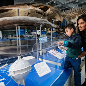 Water gallery, exhibition view. Courtesy of Canadian Muesum of Nature