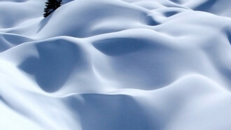 La rinascita dopo il silenzio