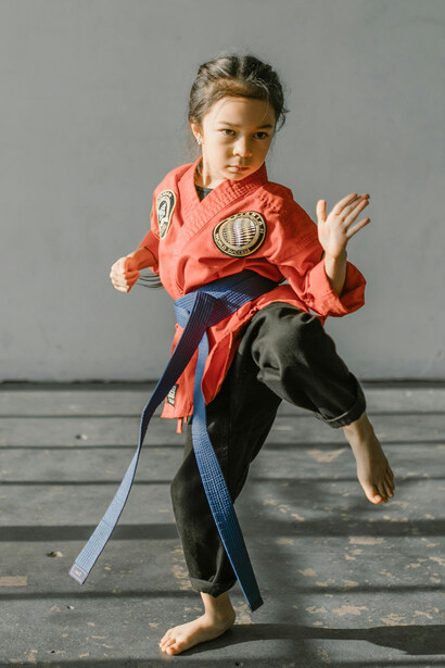 Arti marziali. Etica e rispetto nell'arena delle arti marziali