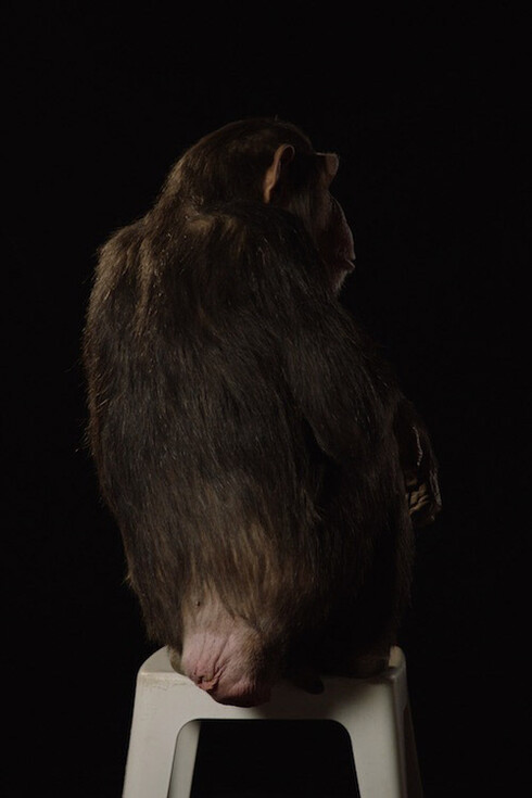 Photographed by Liisa Takala
© Crystal Eye - Kristallisilmä Oy, Helsinki
Courtesy of Marian Goodman Gallery, New York, Paris and London

