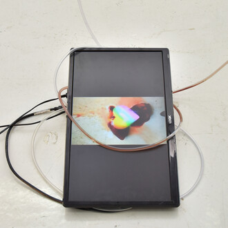 Alice Morey. Courtesy of The Ryder Projects