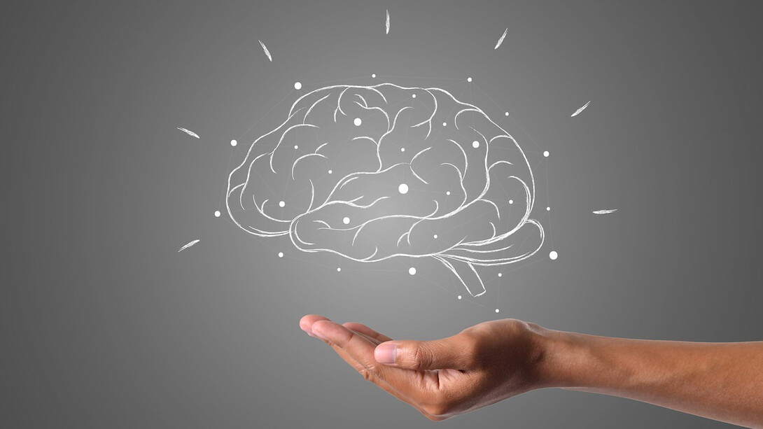 The human hand extends below the brain