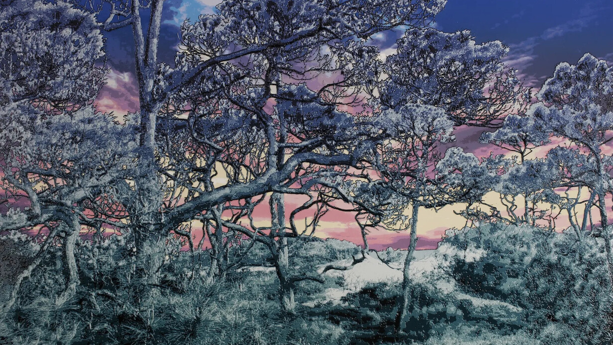 Bradlee Shanks, Sunset (detail). Courtesy of Momentum Gallery