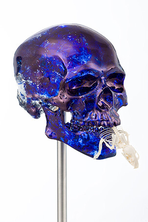 Jan Fabre. Courtesy of Galerie Daniel Templon