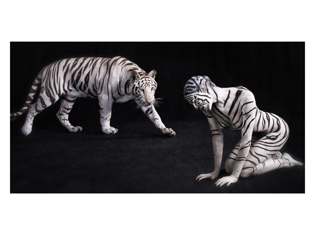 Lennette Newell, White Tiger, Archival pigment print on Hahnemühle Fine Art paper, 100 x 76 cm, Edition of 9 © Lennette Newell, 2011
