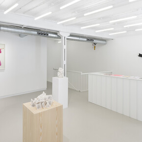 Ana Laura Aláez, Snowfall with saliva, exhibition view. Courtesy of the Ryder Projects
