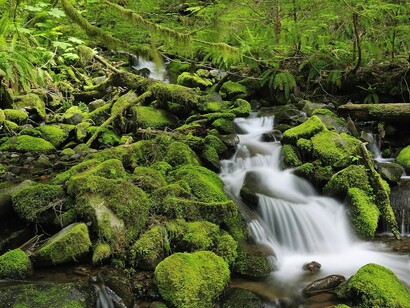 Five mission areas have been identified, each with a dedicated mission board and assembly