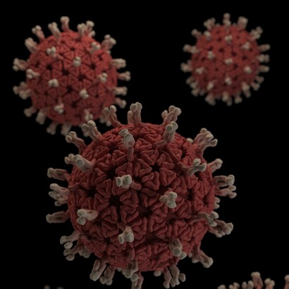 Representación gráfica de una serie de viriones de rotavirus