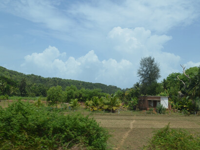 View on the way to Udupi