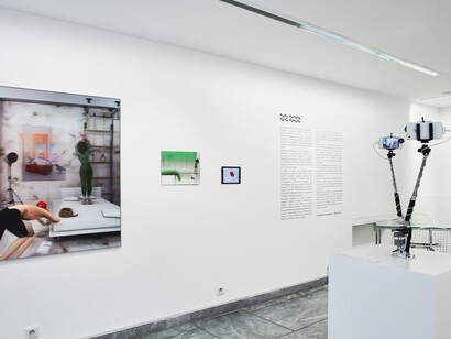 Data Dating. Courtesy of Galerie Charlot. Photo credit Michael DePasquale