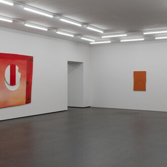 Mario Sala, Collection in focus, exhibition view. Courtesy of Aargauer Kunsthaus