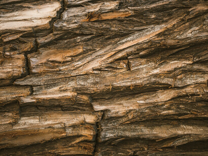 La forme visible du potentiel caché