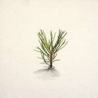 Michelle Robinson, Babes in the wood (1), 2025. Courtesy of Launch LA