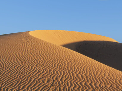 El lenguaje natural es ambiguo, pero posee una estructura lógica