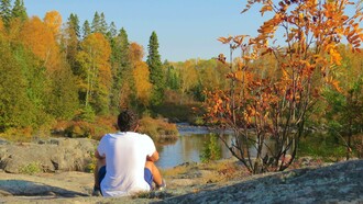 Wondering and reflecting on how to be a 'butterfly' in nature