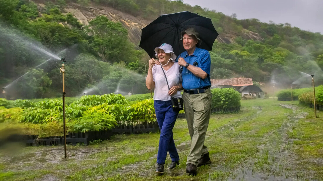 Sebastião Salgado e Lélia Wanick Salgado caminham sob um guarda-chuva em meio às mudas cultivadas no Instituto Terra, em Minas Gerais. Ao redor do casal, os aspersores irrigam as plantas destinadas à recuperação da vegetação nativa. A cena sintetiza uma dimensão essencial da trajetória dos dois: o compromisso com a restauração ambiental que transformou uma antiga propriedade degradada em um projeto de recuperação da Mata Atlântica. Para além das imagens que documentaram trabalhadores, migrações e comunidades tradicionais em diferentes continentes, Salgado também deixou uma contribuição concreta para a conservação da natureza