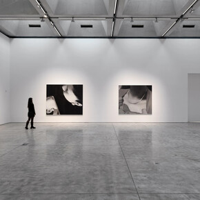 Alexis Ralaivao, Éloge de l’ombre (In praise of shadows), exhibition view. Courtesy of Paul Kasmin Gallery