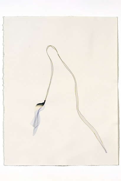 Untitled Small #4, 2019 Emulsion lift on paper
Cm 66x50
