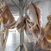 Andrea Peña, States of transmutation, exhibition view. Courtesy of Mattress Factory