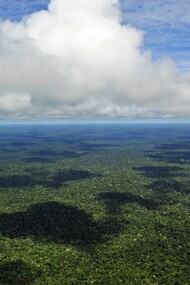 Amazônia