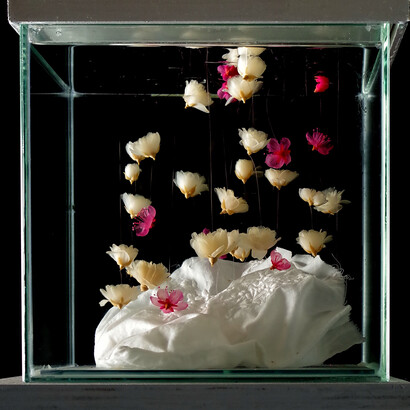 Isabel Consigliere. Sublimazione (o dell'ultima notte)