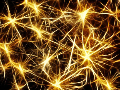 Neuroni. Per dare significato alle parole o ai gesti il contesto è tutto