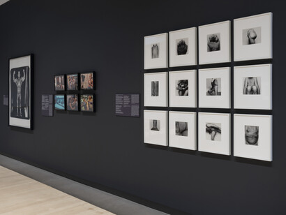 Varios artistas, Memoria muscular: la lente enfocada en el cuerpo, vista de exhibición. Cortesía del Phoenix Art Museum