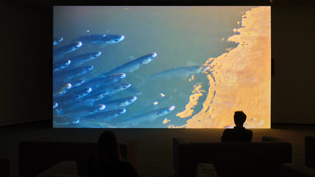 Verena Paravel, Delta, vue de l'exposition. Avec l'aimable autorisation de LUMA Arles