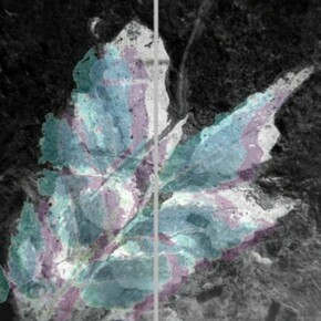 Ian Pedigo, Your Dreams in Sediment, 2014, Archival inkjet print on canvas mounted on primed board, 32 x 44 inches